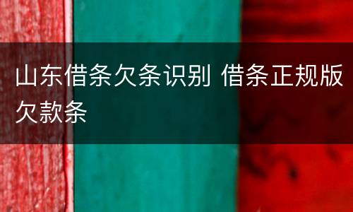 山东借条欠条识别 借条正规版欠款条