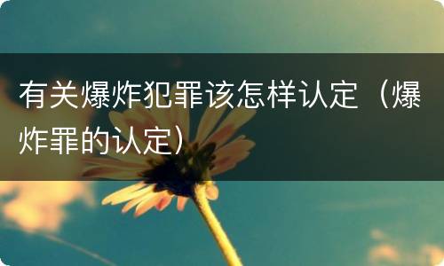 有关爆炸犯罪该怎样认定（爆炸罪的认定）