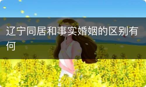 辽宁同居和事实婚姻的区别有何