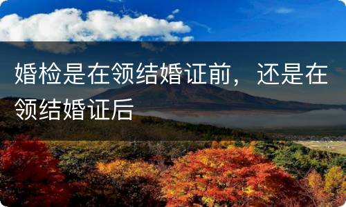 婚检是在领结婚证前，还是在领结婚证后