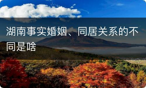湖南事实婚姻、同居关系的不同是啥
