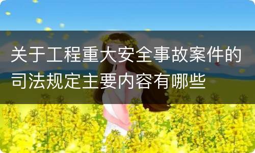 关于工程重大安全事故案件的司法规定主要内容有哪些