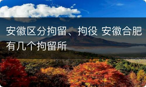 安徽区分拘留、拘役 安徽合肥有几个拘留所