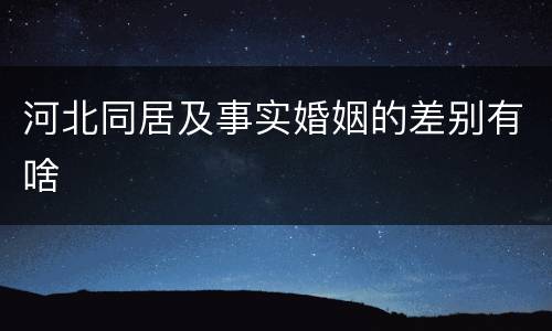 河北同居及事实婚姻的差别有啥