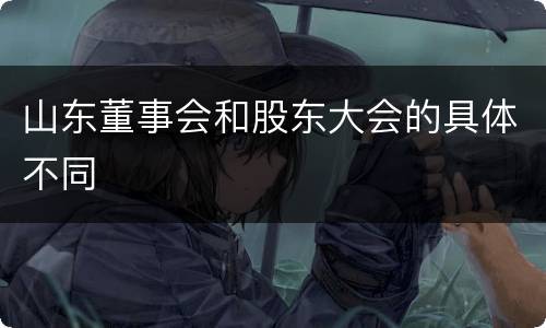 山东董事会和股东大会的具体不同