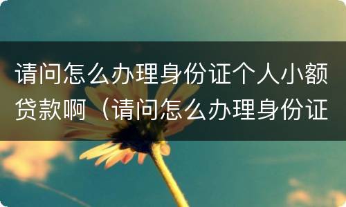 请问怎么办理身份证个人小额贷款啊（请问怎么办理身份证个人小额贷款啊可以吗）