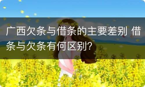 广西欠条与借条的主要差别 借条与欠条有何区别?