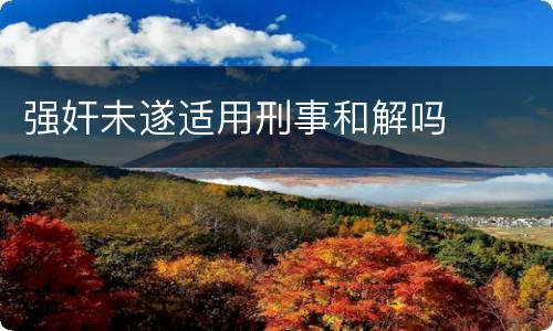 强奸未遂适用刑事和解吗