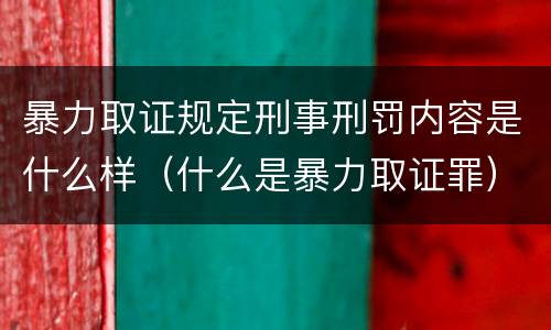 暴力取证规定刑事刑罚内容是什么样（什么是暴力取证罪）