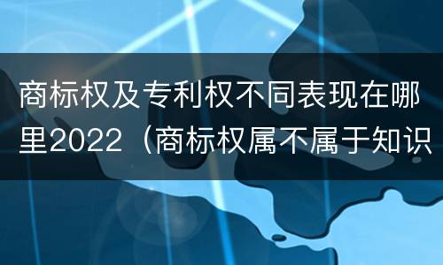 商标权及专利权不同表现在哪里2022（商标权属不属于知识产权）