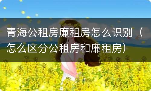青海公租房廉租房怎么识别（怎么区分公租房和廉租房）