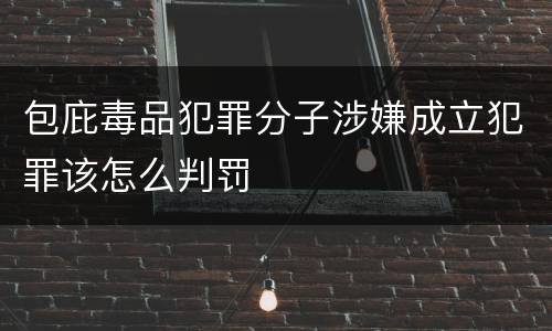 包庇毒品犯罪分子涉嫌成立犯罪该怎么判罚