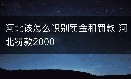 河北该怎么识别罚金和罚款 河北罚款2000