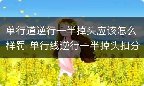单行道逆行一半掉头应该怎么样罚 单行线逆行一半掉头扣分吗?
