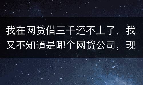 我在网贷借三千还不上了，我又不知道是哪个网贷公司，现在他们起诉我了，我会坐牢吗