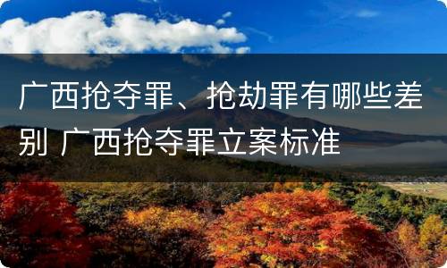 广西抢夺罪、抢劫罪有哪些差别 广西抢夺罪立案标准