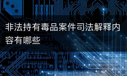 非法持有毒品案件司法解释内容有哪些