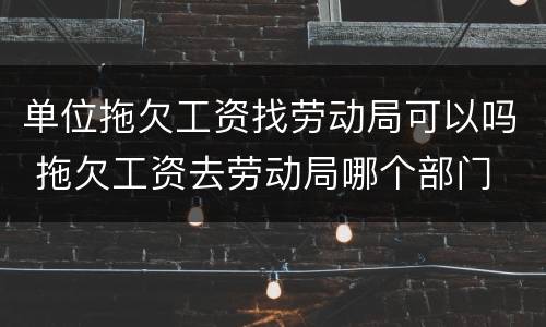单位拖欠工资找劳动局可以吗 拖欠工资去劳动局哪个部门