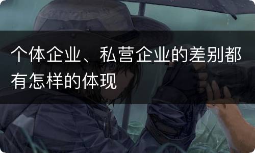 个体企业、私营企业的差别都有怎样的体现