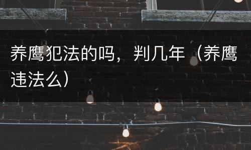 养鹰犯法的吗，判几年（养鹰违法么）