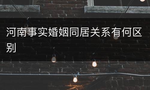 河南事实婚姻同居关系有何区别