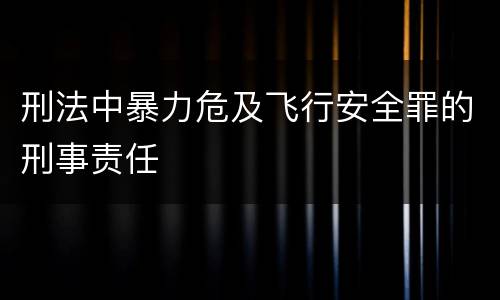 刑法中暴力危及飞行安全罪的刑事责任