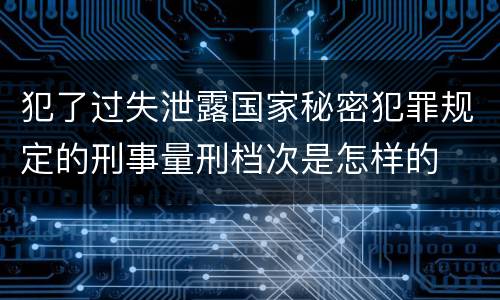 犯了过失泄露国家秘密犯罪规定的刑事量刑档次是怎样的