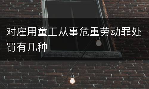 对雇用童工从事危重劳动罪处罚有几种