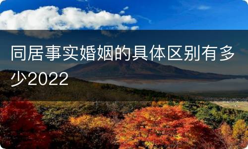 同居事实婚姻的具体区别有多少2022