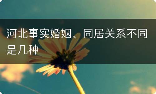 河北事实婚姻、同居关系不同是几种