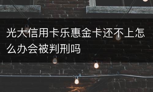 光大信用卡乐惠金卡还不上怎么办会被判刑吗