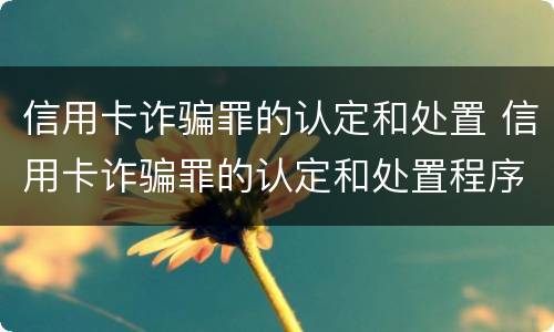 信用卡诈骗罪的认定和处置 信用卡诈骗罪的认定和处置程序