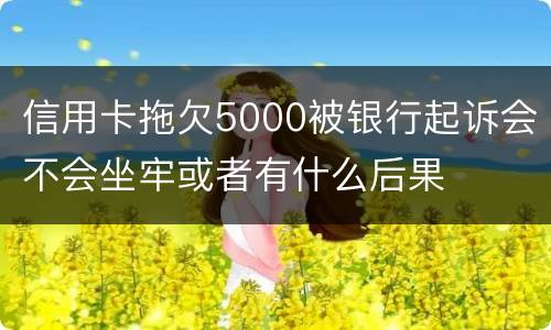 信用卡拖欠5000被银行起诉会不会坐牢或者有什么后果