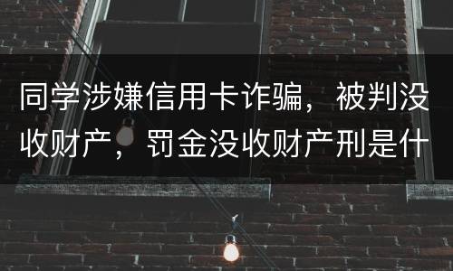同学涉嫌信用卡诈骗，被判没收财产，罚金没收财产刑是什么
