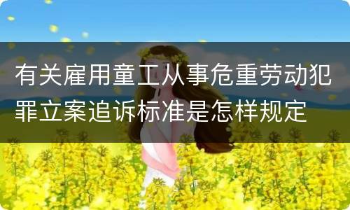 有关雇用童工从事危重劳动犯罪立案追诉标准是怎样规定