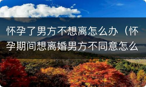怀孕了男方不想离怎么办（怀孕期间想离婚男方不同意怎么办）