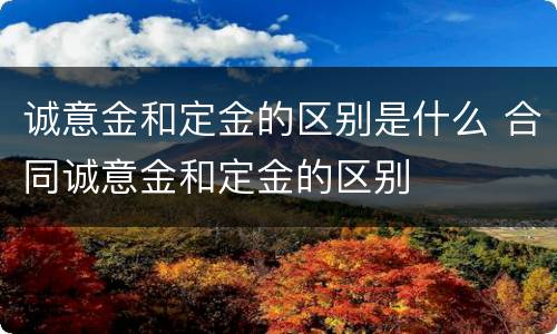 诚意金和定金的区别是什么 合同诚意金和定金的区别