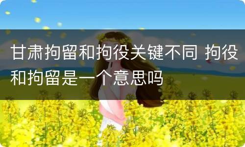 甘肃拘留和拘役关键不同 拘役和拘留是一个意思吗