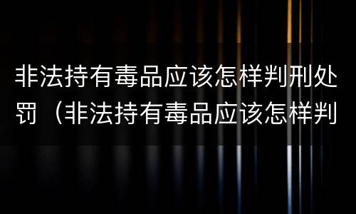 非法持有毒品应该怎样判刑处罚（非法持有毒品应该怎样判刑处罚呢）