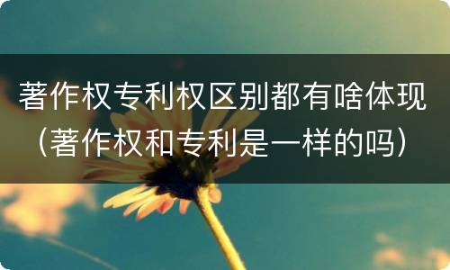 著作权专利权区别都有啥体现（著作权和专利是一样的吗）