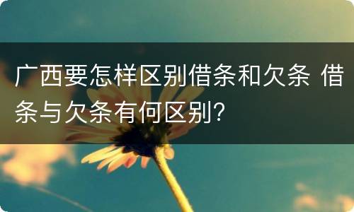 广西要怎样区别借条和欠条 借条与欠条有何区别?