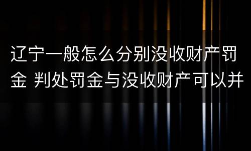辽宁一般怎么分别没收财产罚金 判处罚金与没收财产可以并罚吗