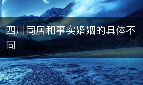 四川同居和事实婚姻的具体不同