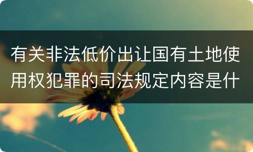 有关非法低价出让国有土地使用权犯罪的司法规定内容是什么