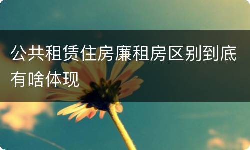 公共租赁住房廉租房区别到底有啥体现