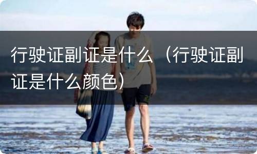 行驶证副证是什么（行驶证副证是什么颜色）