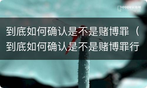 到底如何确认是不是赌博罪（到底如何确认是不是赌博罪行）