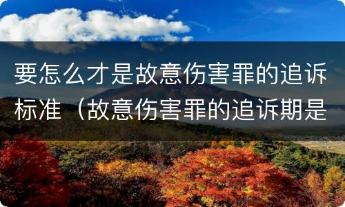 要怎么才是故意伤害罪的追诉标准（故意伤害罪的追诉期是多长时间）