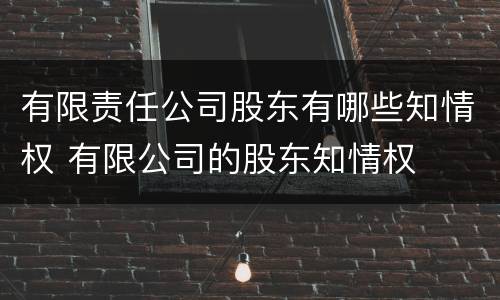 有限责任公司股东有哪些知情权 有限公司的股东知情权