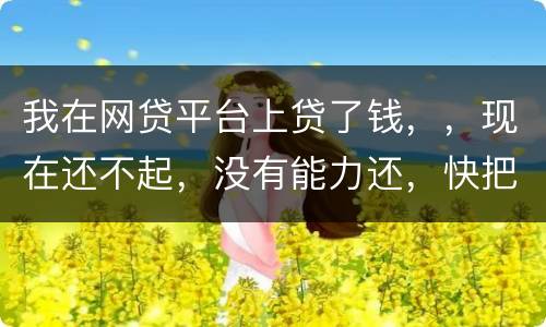我在网贷平台上贷了钱，，现在还不起，没有能力还，快把家里人气死了，这可怎么办